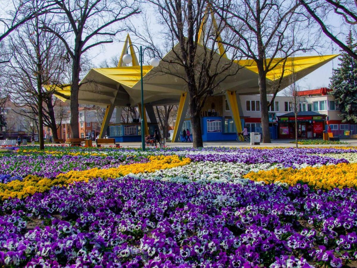 Greta Apartman Hajduszoboszlo Bagian luar foto
